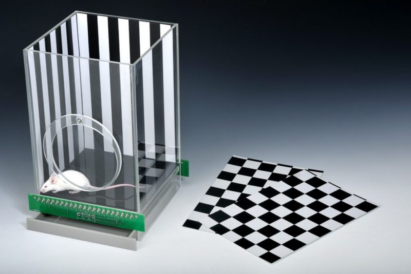enceinte souris et son kit de contexte