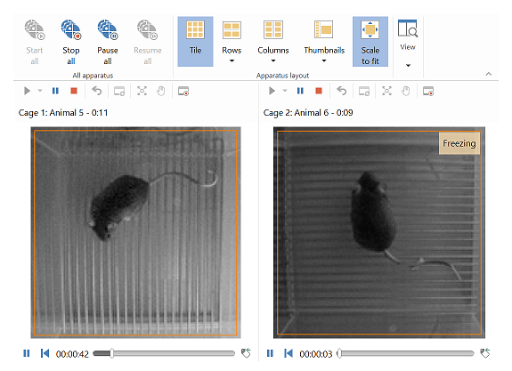 acquisition de deux souris image IR example