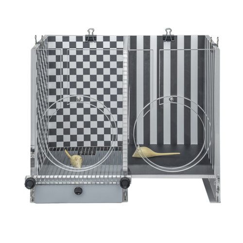 Test de conditionnement à la peur (Fear conditioning) Rat & Souris automatisé - VI-46005 Cage souris pour apprentissage observationnel Fear Conditioning, avec grille électrisable (espacement souris) dimensions 37x17x25(h) cm