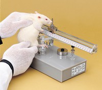 Randall selitto appli rat