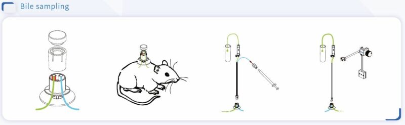 Bile sampling